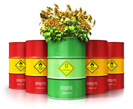 Creative abstract ecology, alternative sustainable energy and environment protection saving business concept: 3D render illustration of green biofuel or biodiesel barrel with yellow sunflowers flowers in front of the group of red metal oil, petroleum or gas drums isolated on white background with reflection effectの写真素材