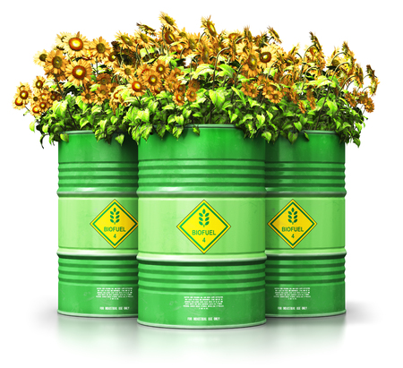 Creative abstract ecology, alternative sustainable energy and environment protection saving business concept: 3D render illustration of the group of green metal biofuel drums or biodiesel barrels with yellow sunflowers flowers isolated on white background with reflection effectの写真素材