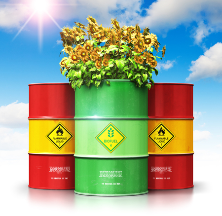 Creative abstract ecology, alternative sustainable energy and environment protection saving business concept: 3D render illustration of green biofuel or biodiesel barrel with yellow sunflowers flowers in front of the group of red metal oil, petroleum or gas drums against blue sky with clouds and sun light isolated on white background with reflection effectの写真素材