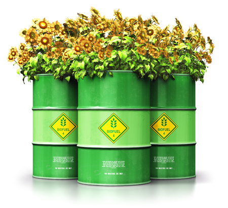 Creative abstract ecology, alternative sustainable energy and environment protection saving business concept: 3D render illustration of the group of green metal biofuel drums or biodiesel barrels with yellow sunflowers flowers isolated on white background with reflection effectの写真素材