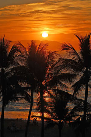 Sunset over the Sierra Madre mountains in Puerto Vallarta with palm trees in the foreground.の写真素材