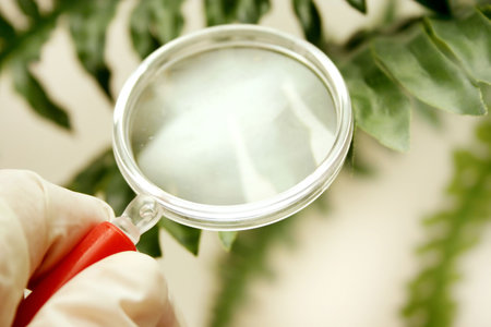 Botanyの写真素材