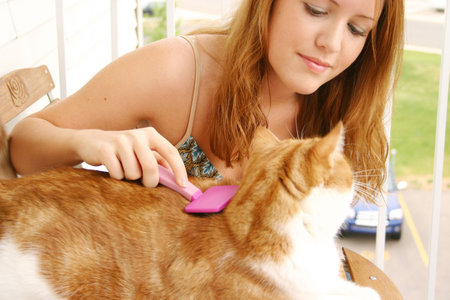 Woman grooming catの写真素材