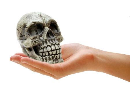 hand holding skullの写真素材