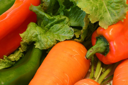 Assorted veggiesの写真素材