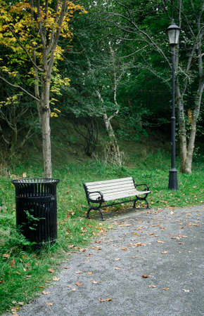Park bench surrounded by fallen leaves