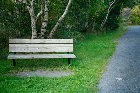 Park bench next to a walking trailの写真素材
