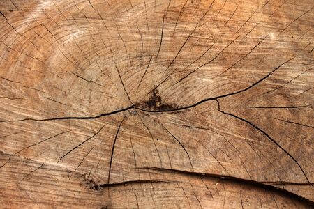 Wood textureの写真素材