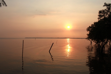 sunset and sea の写真素材