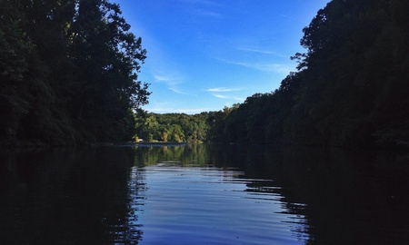 Nature at its bestの素材