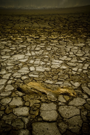 Dry Landsの写真素材