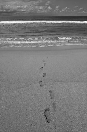 suicidal beachの写真素材