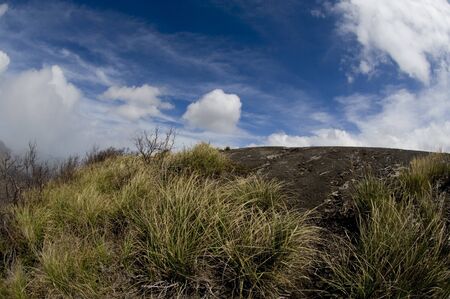 Mountain grassの写真素材