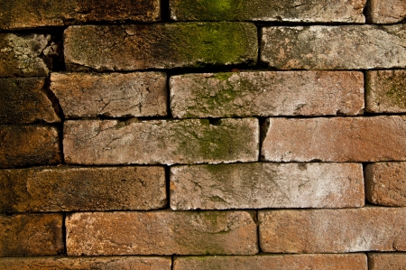 red bricksの写真素材