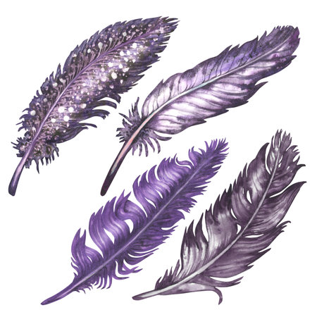 Watercolor bird feathers for art album elements, sketches, invitation design, framesの写真素材