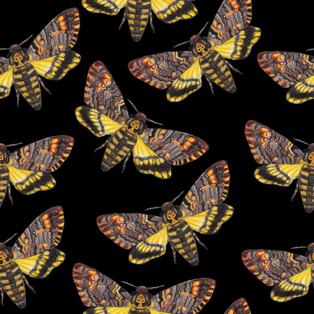 Death's-head moth seamless pattern. Gothic backgroundの写真素材