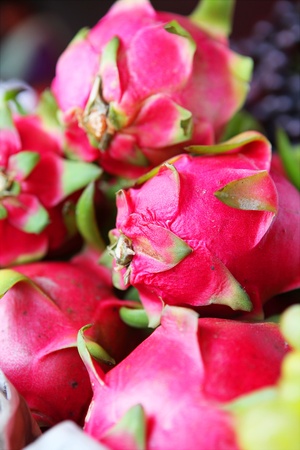 Lot of dragon fruits in the tropical market の写真素材