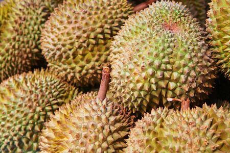 Durians at the Phuket market, Thailandの写真素材