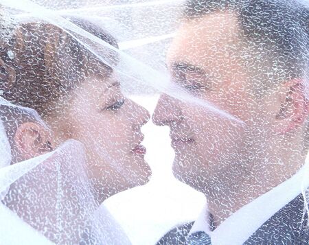 A couple under the veilの写真素材