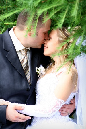 The kiss of a bride and groomの写真素材