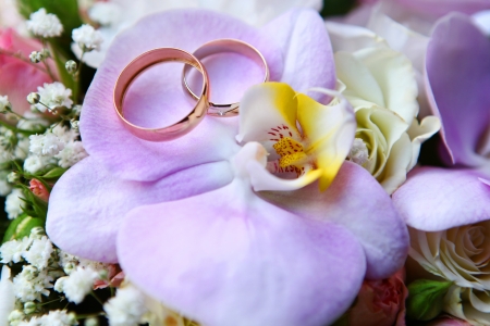 Two wedding rings with diamond on orchidの写真素材