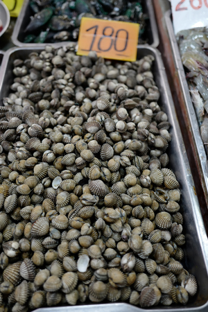 Raw grey shells on thai market, Phuket