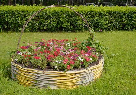 Original flower in the form of a large basket with green grass and bushes aroundの写真素材