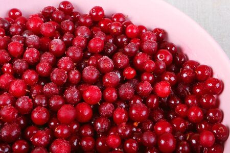 Frozen cranberry in pink plate on linen tableclothの写真素材
