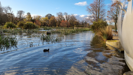 autumn wetlandsの写真素材