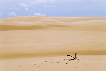 Slowinski National Park - sand dunesの写真素材