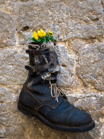 An old shoe turned into a flower vaseの写真素材
