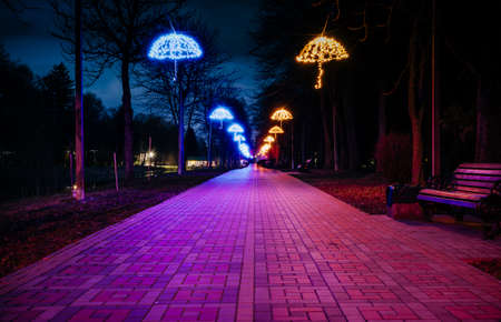 The tiled road in the night park with illuminated umbrellas. Benches in the park at night. Illumination of a park road with small lanterns on umbrellas suspended above the path at night. Lutsk.Ukraineの写真素材