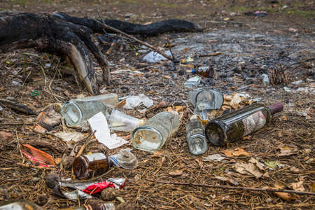 Garbage in a pine forest. Glass bottles of alcohol are scattered in the forest. People illegally thrown garbage into the forest. Concept of man and nature. bottlesの写真素材