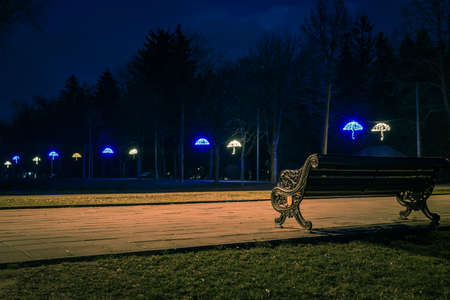 The tiled road in the night park with illuminated umbrellas. Benches in the park at night. Illumination of a park road with small lanterns on umbrellas suspended above the path at night. Lutsk.Ukraineの写真素材