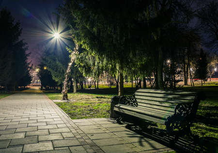 Night city park. Wooden benches, street lights, and green trees. The tiled road in the night park with lanterns. Benches in the park at night. Illumination of a park road with lanterns at night. Lutskの写真素材