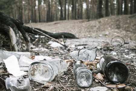 Garbage in a pine forest. Glass bottles of alcohol are scattered in the forest. People illegally thrown garbage into the forest. Concept of man and nature. bottlesの写真素材