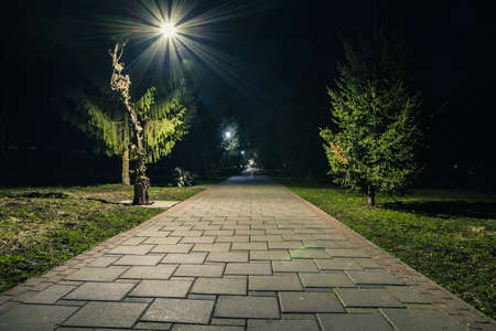 Night city park. Wooden benches, street lights, and green trees. The tiled road in the night park with lanterns. Benches in the park at night. Illumination of a park road with lanterns at night. Lutskの写真素材