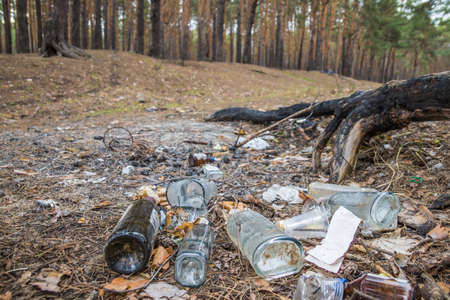 Garbage in a pine forest. Glass bottles of alcohol are scattered in the forest. People illegally thrown garbage into the forest. Concept of man and nature. bottlesの写真素材