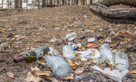 Garbage in a pine forest. Glass bottles of alcohol are scattered in the forest. People illegally thrown garbage into the forest. Concept of man and nature. bottlesの写真素材