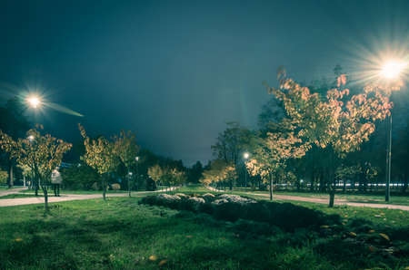 The teiled road in the night park with lanterns in autumn. Benches in the park during the autumn season at night. Illumination of a park road with lanterns at night. Park Kyotoの写真素材