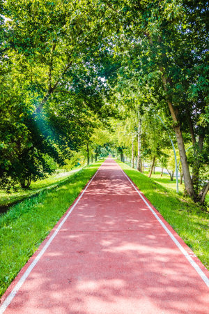 Red treadmill on the alley in the park among the trees in the morning. Red running track in the park...