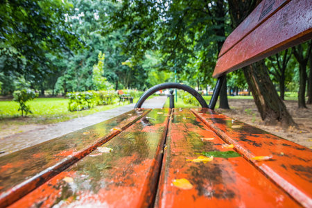 Bench in a path after the rain stops. Summer park with wooden benches after rain. Green park after rain with red benchesの写真素材