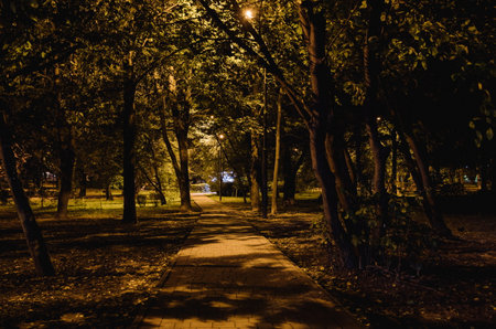 Summer night city park. Wooden benches, street lights, and green trees. The tiled road in the night park with lanterns. Illumination of a park road with lanterns at night. Lutskの写真素材