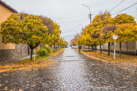Pavement road in a small cozy town in autumn after rain. Yellow leaves and trees in autumn. Picturesque European street in a small town with beautiful old houses and paving stones. Mukachevo. Ukraine.の写真素材