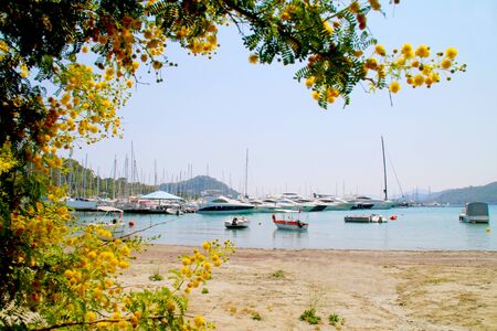 The photo Marina in Turkey framed by yellow flowers.の写真素材