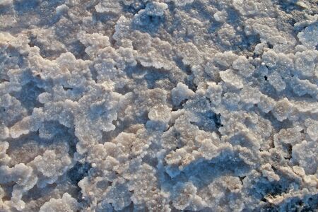 salt crystallizes on the shore of a dead estuary.の写真素材