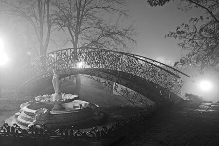 The photo was taken on a foggy night in Odessa. In the picture there is a public square called Old Odessa.の写真素材