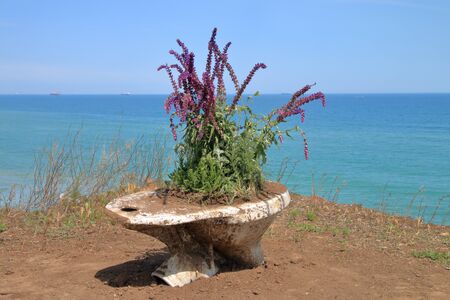 The photo was taken in a suburb of the city of Chernomorsk, on public slopes near the Black Sea coast. The picture shows someone's joke in the form of landscaping with an old toilet.の写真素材