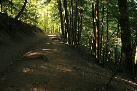 Uphill Path