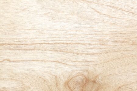 Compressed Wood texture made by natureの写真素材